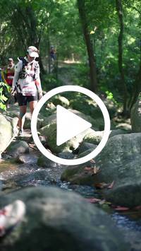 BIB:  <button type="button" onclick="openModal(28052580)" class="btn btn-primary btn-sm float-right" data-toggle="modal" data-target=".modal-high-quality">
                <i class="fa fa-download"></i> Download
                </button>